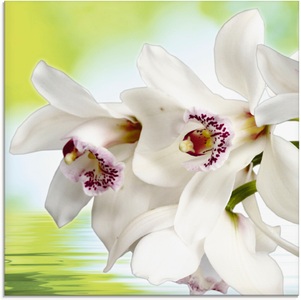 Artland Glasbild »Weisse Orchidee«