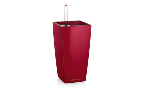 Lechuza, Lechuza Pflanzentopf Maxi cubi Rot, Farbe, Lechuza Pflanzentopf Maxi cubi Rot