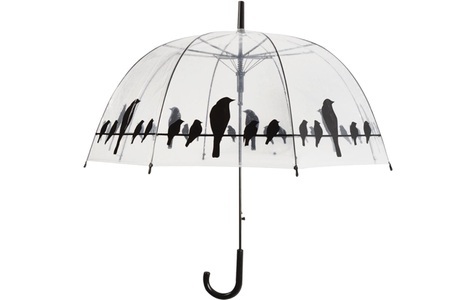 Le Monde Du Parapluie - Stockregenschirm Bird - Transparent und Schwarz