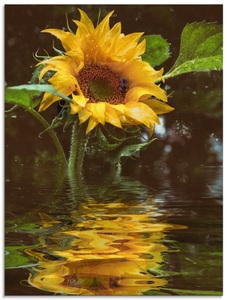 Artland Glasbild »Sonnenblume mit Wasserspiegelung«