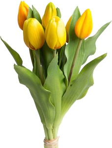 DELAVITA, DELAVITA Kunstblume »Willa«, (Set, 7 St.), Tulpenbündel im 7er-Set, Botanic-Haus Kunstblume »Willa«, Tulpenbündel im 7er-Set