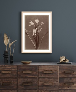QUEENCE, queence Bild mit Rahmen »Marlies«, queence Bild mit Rahmen »Marlies«, Blumen-Pflanzen, Premium Poster mit Naturholzrahmen, Handarbeit aus Deutschland