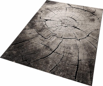 WECON HOME, Teppich, »Wild Oak«, Wecon Home, rechteckig, Höhe 13 mm, Wecon home Teppich »Wild Oak«, rechteckig, 13 mm Höhe, Holz Optik, Wohnzimmer