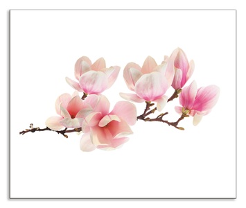 Artland, Artland Küchenrückwand »Magnolie«, Artland Küchenrückwand »Magnolie«, (1 tlg.), Alu Spritzschutz mit Klebeband, einfache Montage