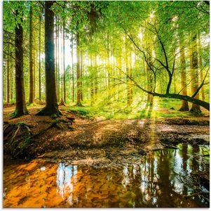 Artland Glasbild »Wald mit Bach«