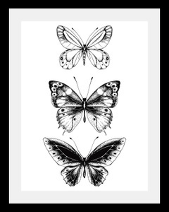 undefined, Bild »Schmetterlinge«, queence Bild »Schmetterlinge«, Tiere-Schwarz-Weiss-Kunst-Insekten-Schmetterlinge, HD Premium Poster-Druck inkl. Holzrahmen
