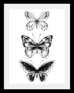undefined, Bild »Schmetterlinge«, queence Bild »Schmetterlinge«, Tiere-Schwarz-Weiss-Kunst-Insekten-Schmetterlinge, HD Premium Poster-Druck inkl. Holzrahmen