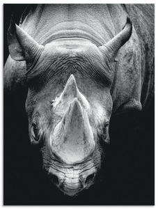 Artland, Artland Wandbild »Das Nashorn«, Wildtiere, (1 St.), in vielen Grössen & Produktarten - Alubild / Outdoorbild für den Aussenbereich, Leinwandbild, Poster, Wandaufkleber / Wandtattoo auch für Badezimmer geeignet, Artland Alu-Dibond-Druck »Das Nashorn«, Wildtiere, (1 St.), für Innen- und Aussenbereich geeignet, Outdoorbild