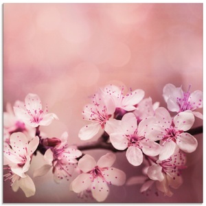 Artland Glasbild »Kirschblüten«