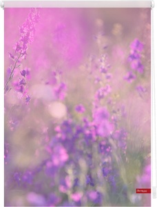 LICHTBLICK, Seitenzugrollo, Lichtblick, »Klemmfix Dekor Blumenwiese«, Lichtschutz, Fixmass, ohne Bohren, LICHTBLICK ORIGINAL Seitenzugrollo »Klemmfix Motiv Blumenwiese«, Lichtschutz, ohne Bohren, freihängend, bedruckt