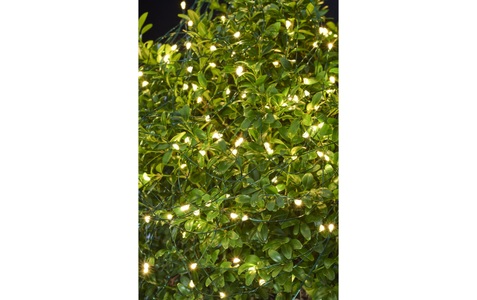 Sirius, LED-Lichterkette Knirke für außen, 80-flg., Sirius LED-Lichterkette »LED Lichterkette Knirke, 80 LED«