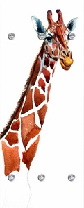 undefined, Garderobe »Giraffe« 50/125 cm, queence Garderobenleiste »Giraffe«, mit 6 Haken, 50 x 120 cm
