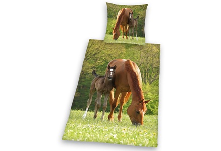 HERDING, HERDING Bettwäsche YC PFERD MIT FOHLEN (135x200/80x80) 2-teilig in bunt, Herding Young Collection Kinderbettwäsche »Pferd mit Fohlen«, für Pferdefreunde