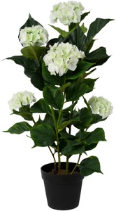 Creativ green, Creativ green Kunstpflanze »Hortensie« (1 Stück), Creativ green Kunstpflanze »Hortensie«, im Kunststofftopf