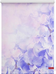 LICHTBLICK, Seitenzugrollo, Lichtblick, »Hortensie«, Klemmfix, Kettenzug, Lichtschutz, Fixmass, ohne Bohren, LICHTBLICK ORIGINAL Seitenzugrollo »Klemmfix Motiv Hortensie« Lichtschutz ohne Bohren freihängend bedruckt