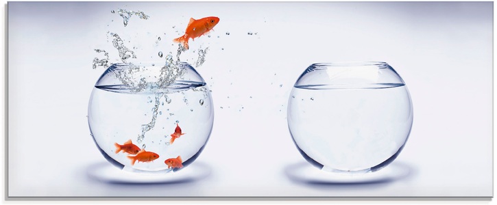 Artland Glasbild »Goldfarbenfischaquarium«