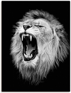 Artland, Artland Wandbild »Der Löwe«, Wildtiere, (1 St.), in vielen Grössen & Produktarten - Alubild / Outdoorbild für den Aussenbereich, Leinwandbild, Poster, Wandaufkleber / Wandtattoo auch für Badezimmer geeignet, Artland Wandbild »Der Löwe«, Wildtiere, (1 St.), als Alubild, Outdoorbild, Leinwandbild, Poster, Wandaufkleber