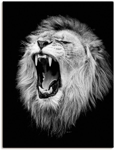 Artland, Artland Wandbild »Der Löwe«, Wildtiere, (1 St.), in vielen Grössen & Produktarten - Alubild / Outdoorbild für den Aussenbereich, Leinwandbild, Poster, Wandaufkleber / Wandtattoo auch für Badezimmer geeignet, Artland Wandbild »Der Löwe«, Wildtiere, (1 St.), als Alubild, Outdoorbild, Leinwandbild, Poster, Wandaufkleber