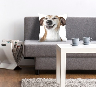 queence Dekokissen »Franka«, (1 St.), mit einem grinsenden Hund