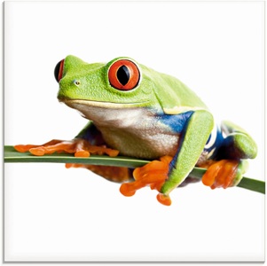 Artland Glasbild »Frosch auf einem Blatt«
