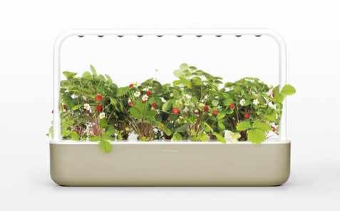 Click and Grow, Click and Grow Click and Grow Kr?utertopf Smart, Click and Grow Kräutertopf »Smart Garden 9 Beige«