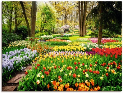 Artland, Artland Wandbild »Tulpen Garten Frühling«, Blumenwiese, (1 St.), in vielen Grössen & Produktarten - Alubild / Outdoorbild für den Aussenbereich, Leinwandbild, Poster, Wandaufkleber / Wandtattoo auch für Badezimmer geeignet, Artland Wandbild »Tulpen Garten Frühling«, Blumenwiese, (1 St.), als Alubild, Outdoorbild, Leinwandbild, Poster, Wandaufkleber