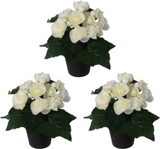 Creativ green, Creativ green Kunstpflanze »Begonie«, (3 St.), im 3er Set, Creativ green Kunstpflanze »Begonie«, im 3er Set