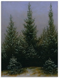 Artland, Artland Glasbild »Fichtendickicht im Schnee Dresdner Heide«, Artland Glasbild »Fichtendickicht im Schnee Dresdner Heide«, Bäume, (1 St.), in verschiedenen Grössen