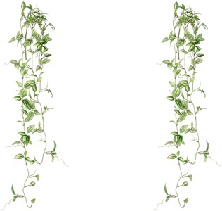 Creativ green, Creativ green Kunstranke »Farnpflanze«, (2 St.), in toller Grösse, 