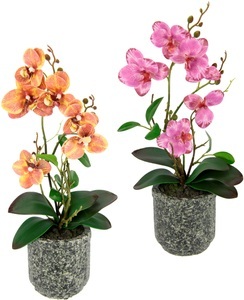 IGEA, I.GE.A. Kunstpflanze »Orchidee«, Mit Blättern und Luftwurzeln, im Topf aus Keramik, 2er Set, I.GE.A. Kunstpflanze »Orchidee«, Mit Blättern und Luftwurzeln, im Topf aus Keramik, 2er Set