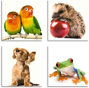 Artland, Artland Leinwandbild »Grauköpfchen Igel Hund Frosch«, Artland Leinwandbild »Grauköpfchen Igel Hund Frosch«, Haustiere, (4 St.), 4er Set, verschiedene Grössen