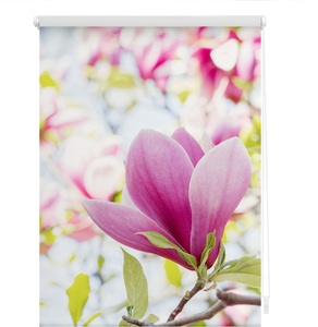 LICHTBLICK, Seitenzugrollo, Lichtblick, »Magnolie«, Klemmfix, Kettenzug, Lichtschutz, Fixmass, ohne Bohren, LICHTBLICK ORIGINAL Seitenzugrollo »Klemmfix Motiv Magnolie«, Lichtschutz, ohne Bohren, freihängend, bedruckt
