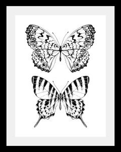 undefined, Bild »Schmetterlinge«, queence Bild »Schmetterlinge«, Tiere-Schwarz-Weiss-Kunst-Insekten-Schmetterlinge, HD Premium Poster-Druck inkl. Holzrahmen
