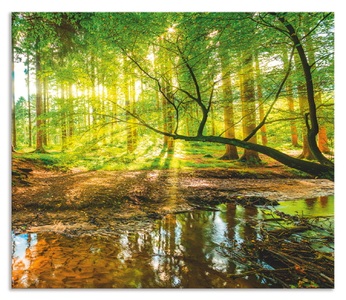 Artland, Artland Küchenrückwand »Wald mit Bach«, Artland Küchenrückwand »Wald mit Bach«, (1 tlg.), Alu Spritzschutz mit Klebeband, einfache Montage