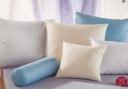 Balette, Kissen, Balette, Balette Kopfkissen »Kochfeste Kissen - 95°C«, Füllung: 60% neue reine Gänsedaunen, weiss ; 40% neue reine Gänsefederchen, weiss mit Nocar ausgerüstet, Bezug: 100% Baumwolle, (1 St.), Nomite ? der natürliche Schutz für Allergiker und Asthmati