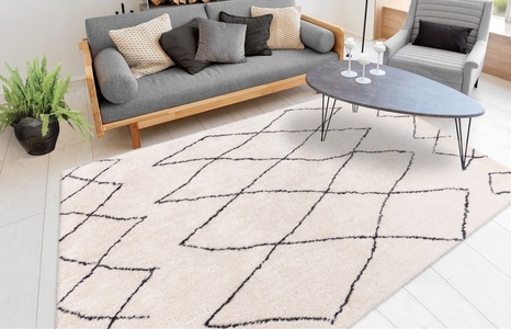 calo-deluxe Hochflor-Teppich »Elvar-4000«, rechteckig, 27 mm Höhe, besonders weich durch Microfaser, Wohnzimmer