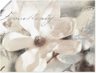 Artland, Artland Wandbild »Magnolie_Detail«, Blumenbilder, (1 St.), in vielen Grössen & Produktarten - Alubild / Outdoorbild für den Aussenbereich, Leinwandbild, Poster, Wandaufkleber / Wandtattoo auch für Badezimmer geeignet, Artland Wandbild »Magnolie_Detail«, Blumenbilder, (1 St.), als Alubild, Outdoorbild, Leinwandbild, Poster, Wandaufkleber