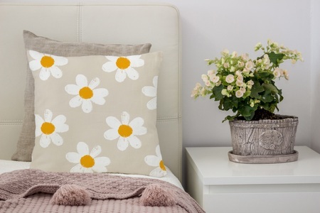 QUEENCE, queence Dekokissen »Levke«, (1 St.), mit Gänseblümchen, queence Dekokissen »Levke«, Kissenhülle,Gänseblümchen,Blumen,Florales Design,Naturmotiv,Zart