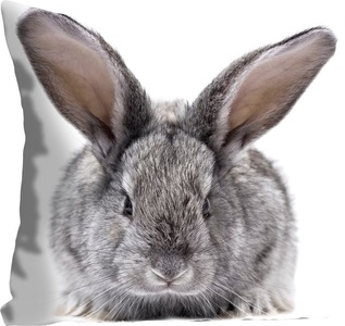 queence Dekokissen »Sixten«, (1 St.), mit einem flauschigen Hasen