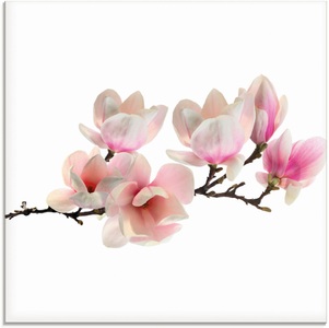 Artland Glasbild »Magnolie«