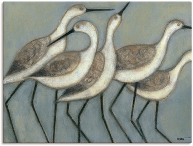 Artland, Artland Wandbild »Küstenvögel II«, Artland Alu-Dibond-Druck »Küstenvögel II«, Vögel, (1 St.), für Innen- und Aussenbereich geeignet, Outdoorbild