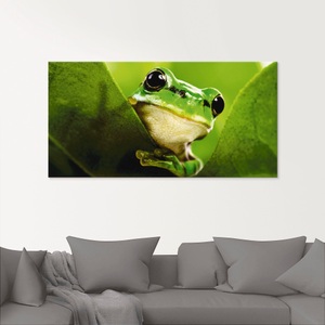 Artland Glasbild »Ausspähender Frosch«
