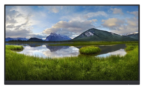 undefined, DELL P2422H_WOST 60,5 cm (23.8 Zoll) 1920 x 1080 Pixel Full HD LCD Schwarz, 