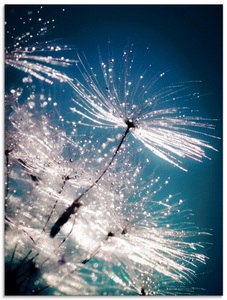Artland Glasbild »Pusteblume Kristallschirmchen«