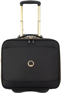 Delsey, Delsey Business-Trolley »Montrouge«, 2 Rollen, mit gepolstertem 15,6-Zoll Laptopfach, 