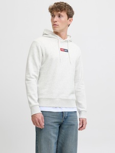 Jack & Jones Kapuzensweatshirt »JJPAN SWEAT HOOD«