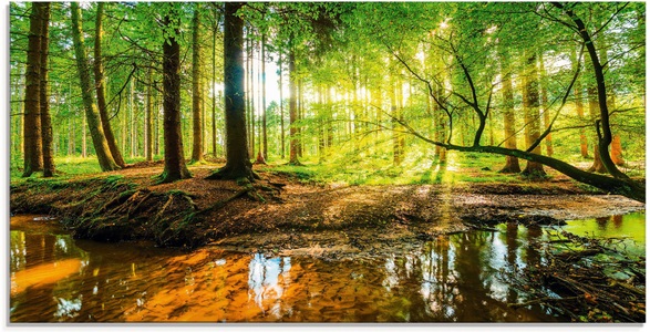 Artland Glasbild »Wald mit Bach«