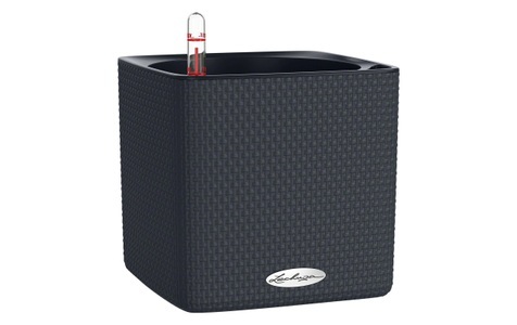 Lechuza Kr?utertopf Cube Color 16 Grau
