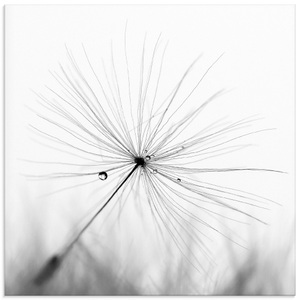 Artland Glasbild »Pusteblume Schirmchen«