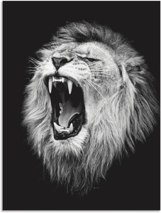 Artland, Artland Wandbild »Der Löwe«, Wildtiere, (1 St.), in vielen Grössen & Produktarten - Alubild / Outdoorbild für den Aussenbereich, Leinwandbild, Poster, Wandaufkleber / Wandtattoo auch für Badezimmer geeignet, Artland Wandbild »Der Löwe«, Wildtiere, (1 St.), als Alubild, Outdoorbild, Leinwandbild, Poster, Wandaufkleber